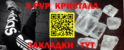 гидра Гай